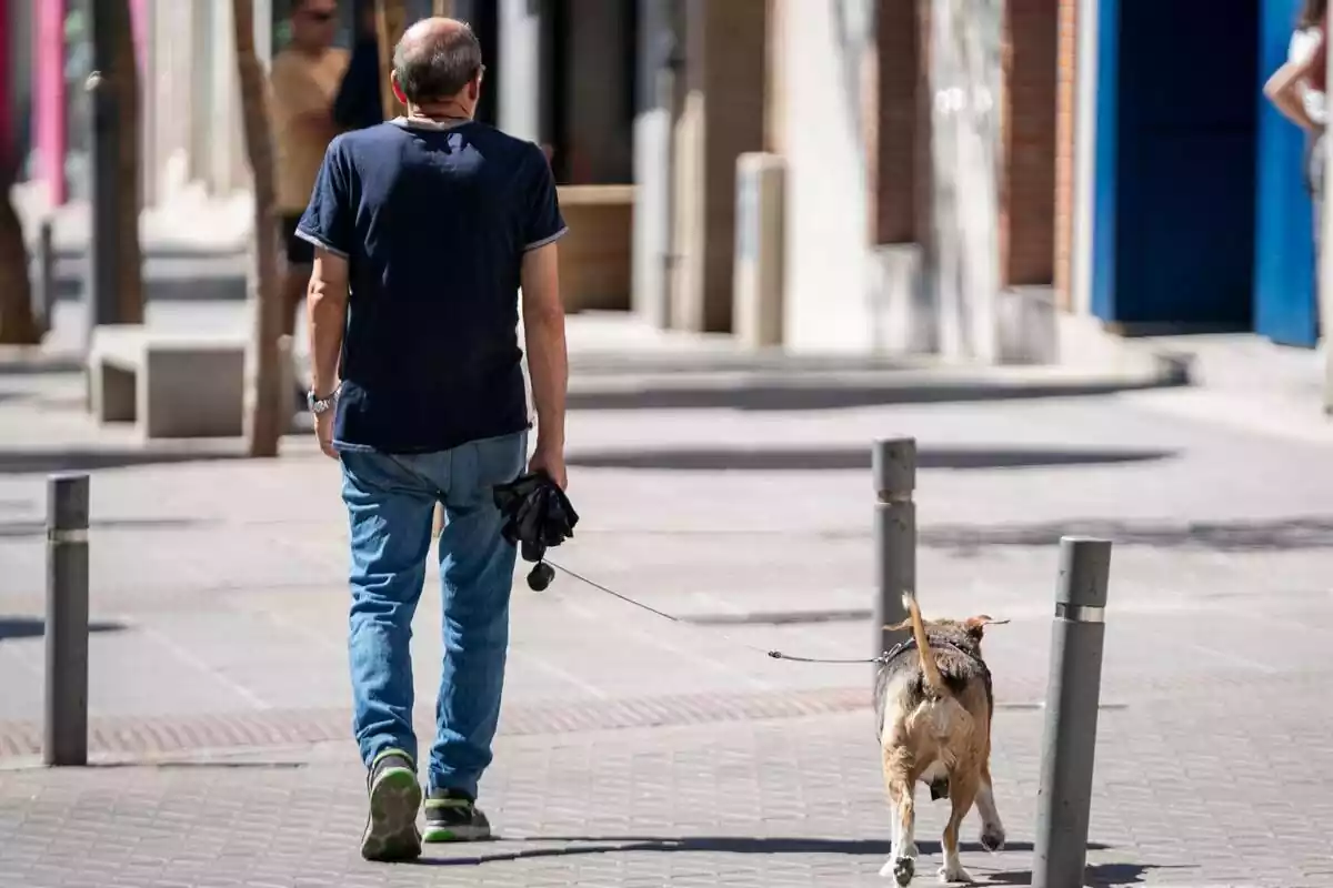 Imagen de un hombre paseando a su perro por la calle