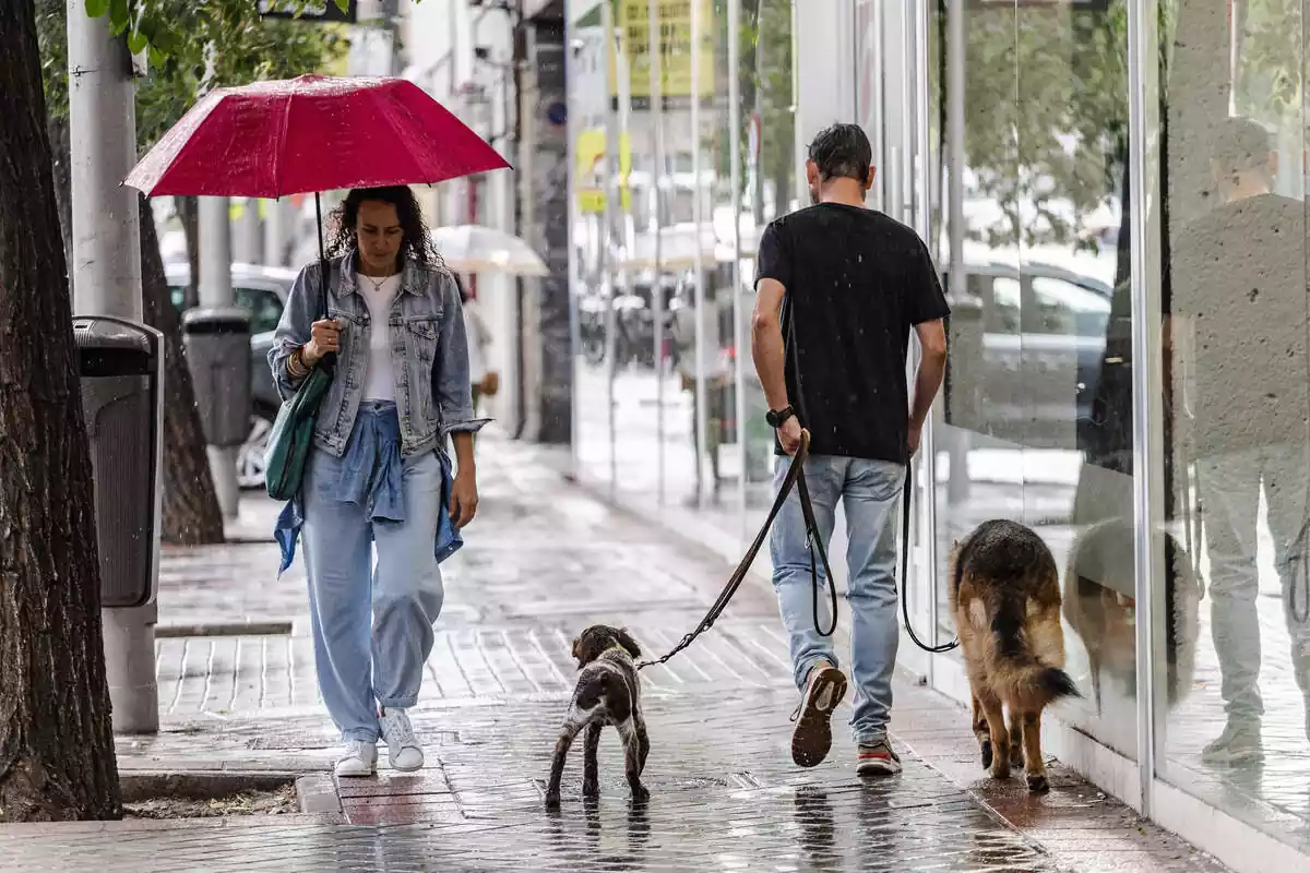 Imagen de dos personas andando debajo de la lluvia