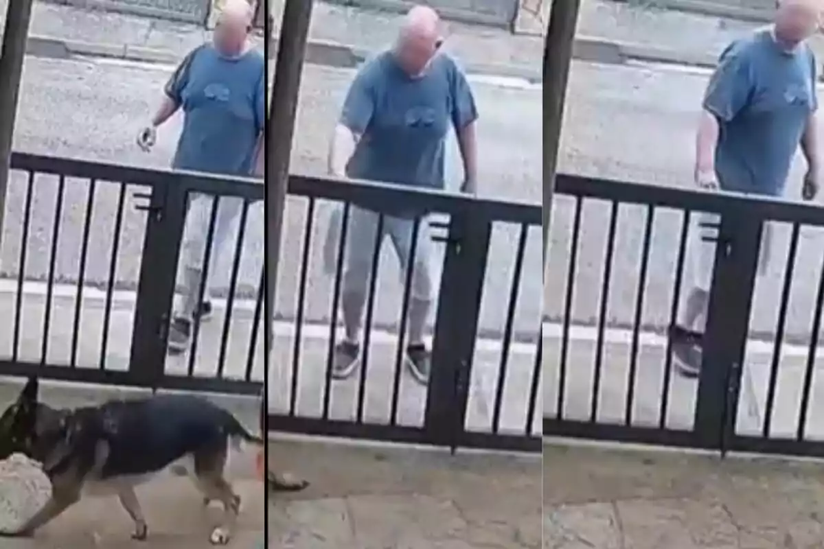Un hombre con camiseta azul y pantalones cortos se acerca a una puerta de rejas mientras un perro pasa por delante.