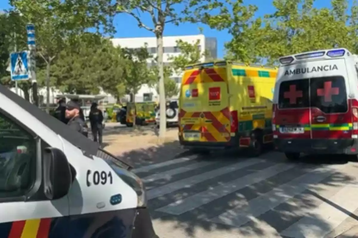 Varias ambulancias y un vehículo policial están estacionados en una calle arbolada mientras algunas personas, posiblemente agentes, se encuentran cerca.