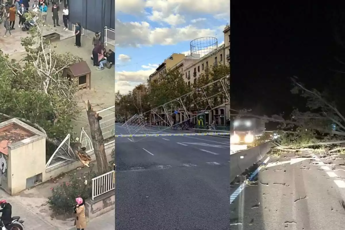 Montaje fotográfico de diversas afectaciones del paso de la borrasca Ciarán en Cataluña