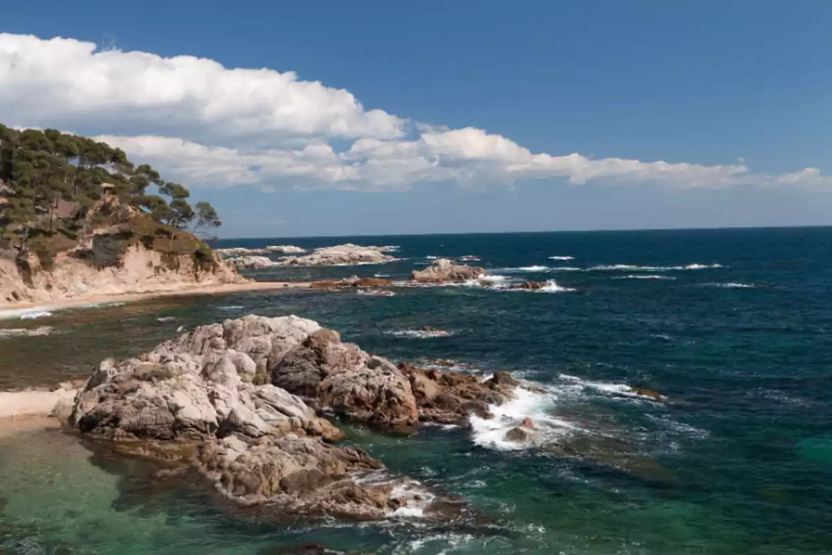 Imagen de la Cala Estreta situada en el terreno municipal de Palamós, en la Costa Brava, Cataluña Imagen de la Cala Estreta situada en el terreno municipal de Palamós, en la Costa Brava, Cataluña
