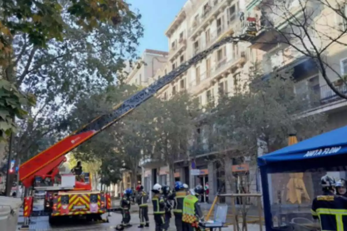 Bomberos trabajando en un edificio con una escalera extendida desde un camión en una calle arbolada.