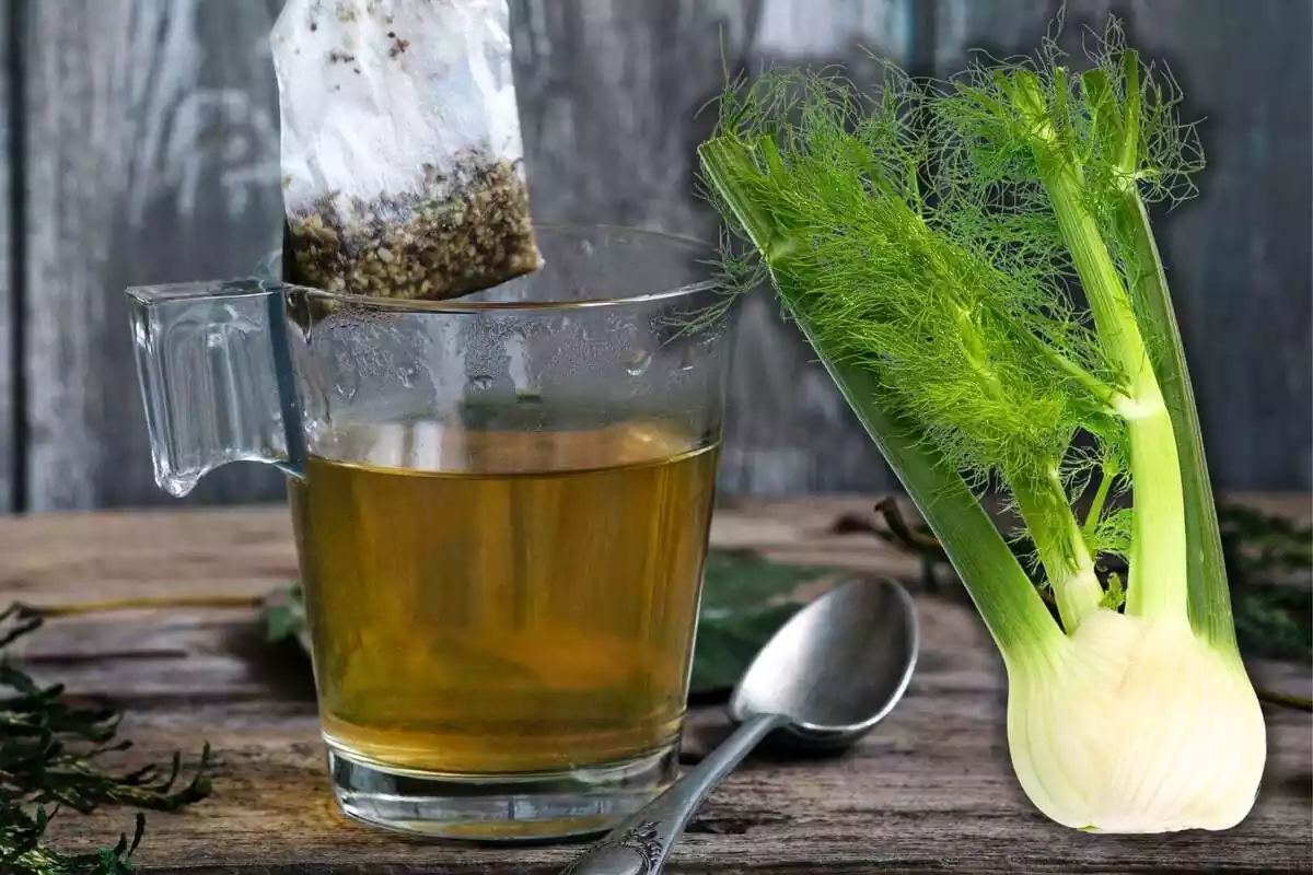 Montage background image of an infusion in a glass next to another image of fennel