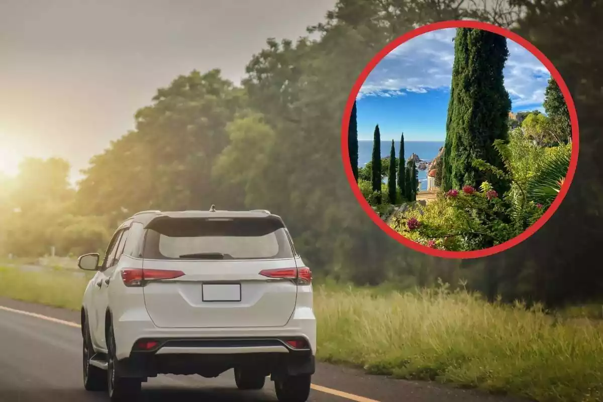 Un coche en una carretera y a su lado un círculo rojo con un jardín botánico