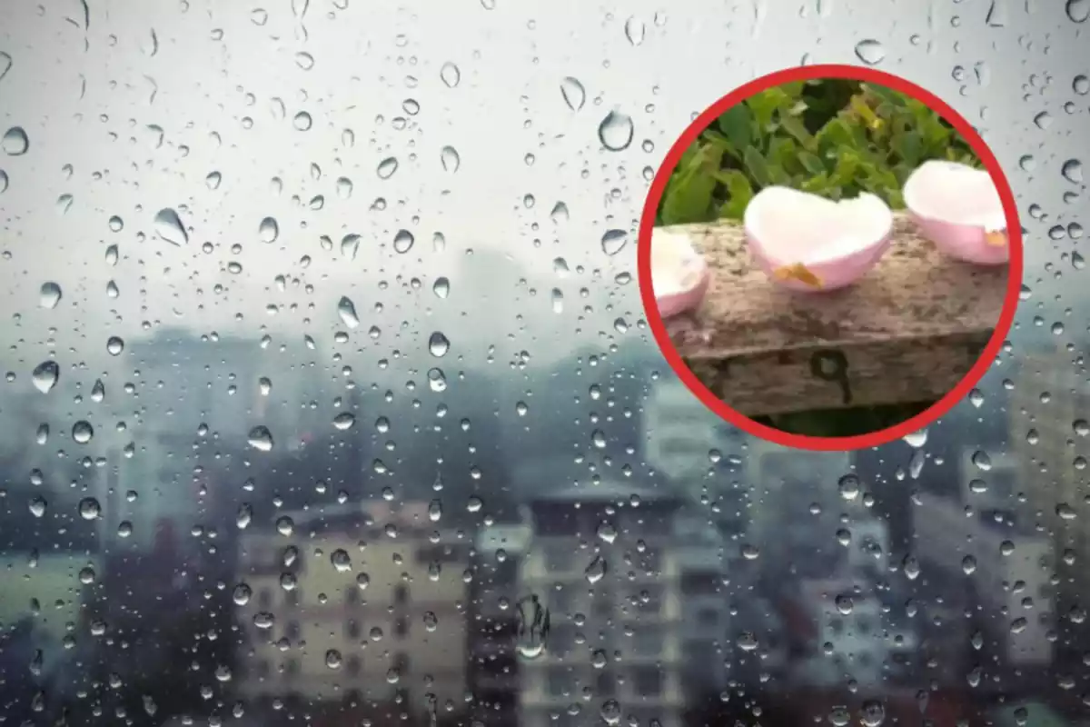 Una ventana con lluvia y un círculo con unas cebollas