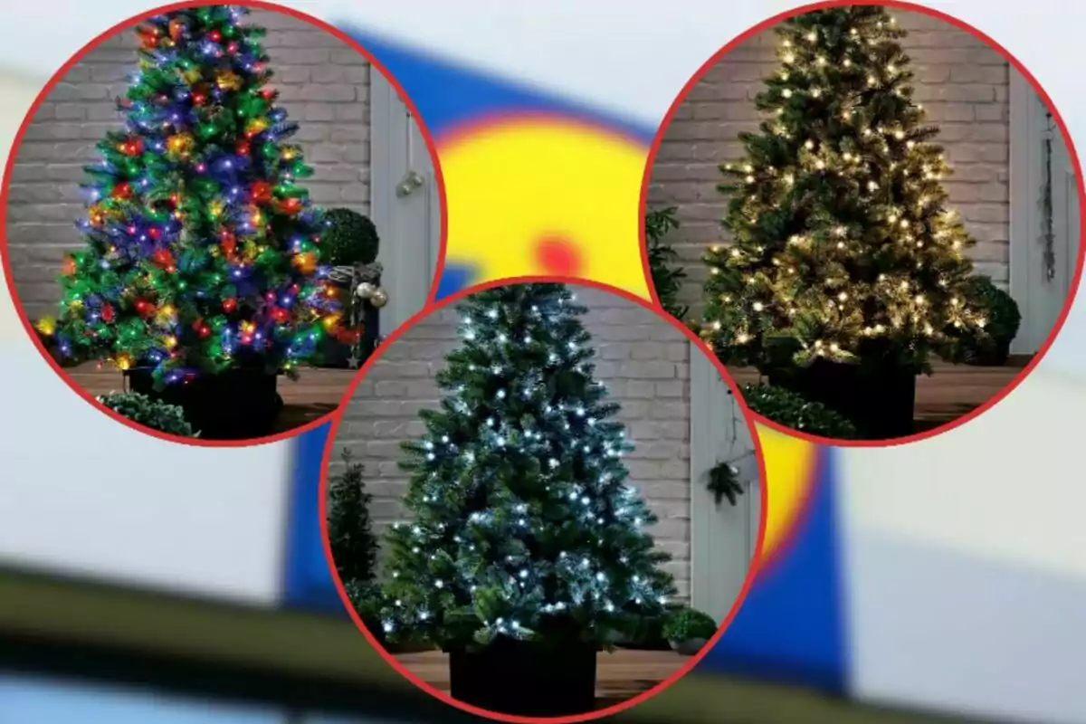 Tres árboles de Navidad artificiales decorados con luces de colores, blancas y cálidas, en un entorno interior con paredes de ladrillo. Tres árboles de Navidad artificiales decorados con luces de colores, blancas y cálidas, en un entorno interior con paredes de ladrillo.