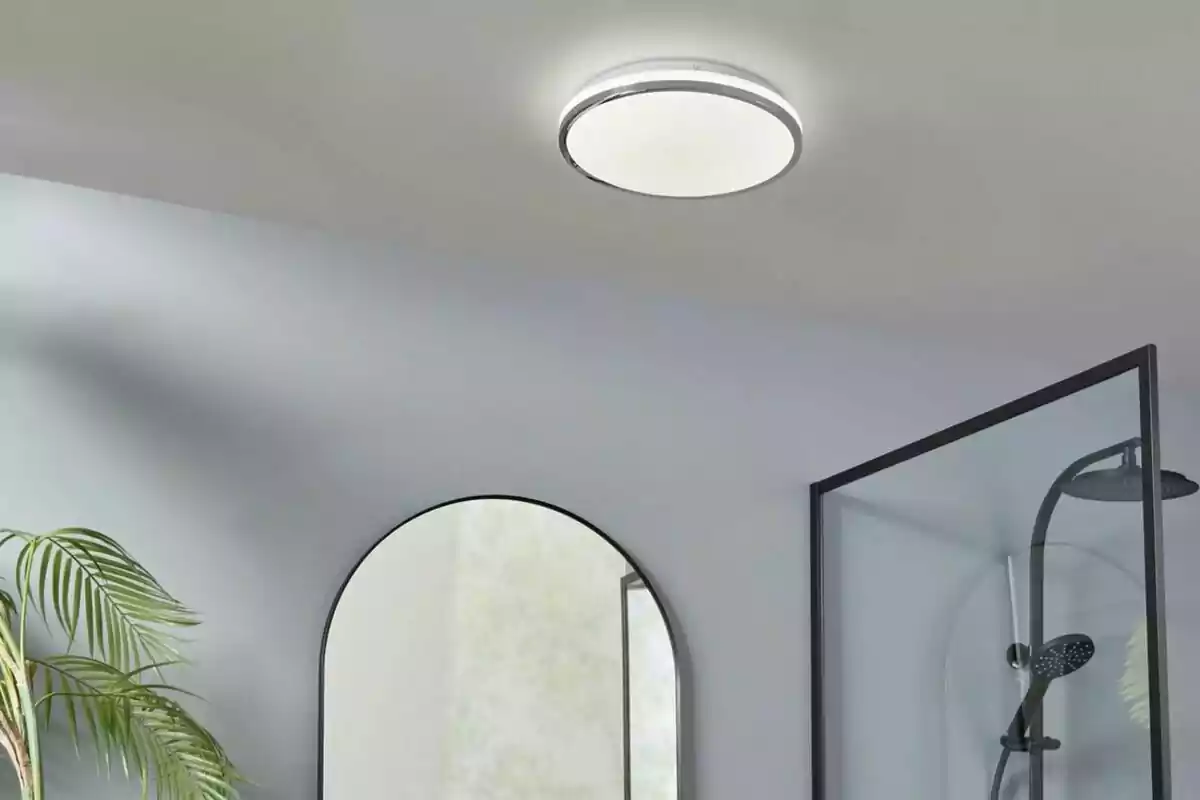Lámpara de techo moderna en un baño con espejo redondo, planta decorativa y ducha con mampara de vidrio. Lámpara de techo moderna en un baño con espejo redondo, planta decorativa y ducha con mampara de vidrio.