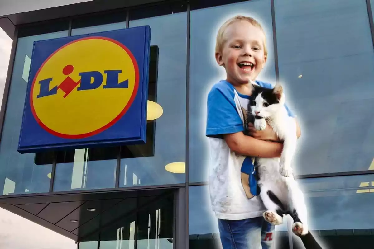 Un niño sonriente sostiene un gato frente a una tienda Lidl.