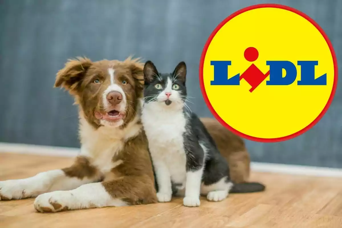 Un perro y un gato sentados en el suelo junto al logotipo de Lidl.