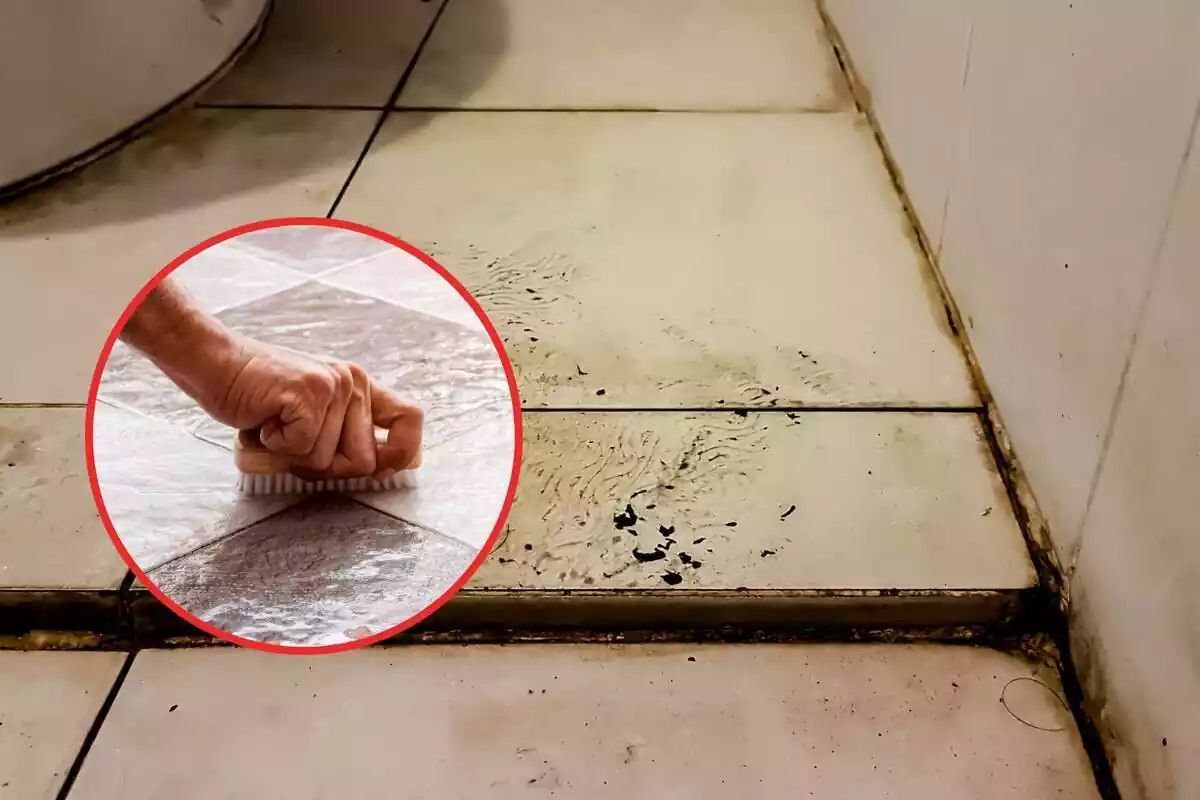 Cómo limpiar las juntas del suelo: trucos efectivos