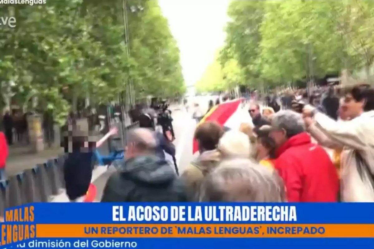 Una multitud se reúne en una calle arbolada mientras un reportero de Una multitud se reúne en una calle arbolada mientras un reportero de