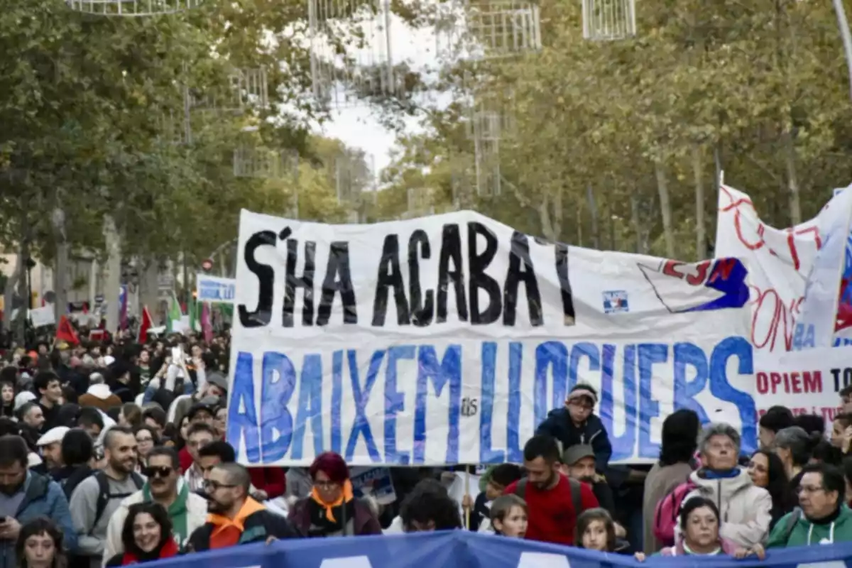 Una multitud de personas participa en una manifestación sosteniendo pancartas con mensajes en catalán en una calle arbolada.