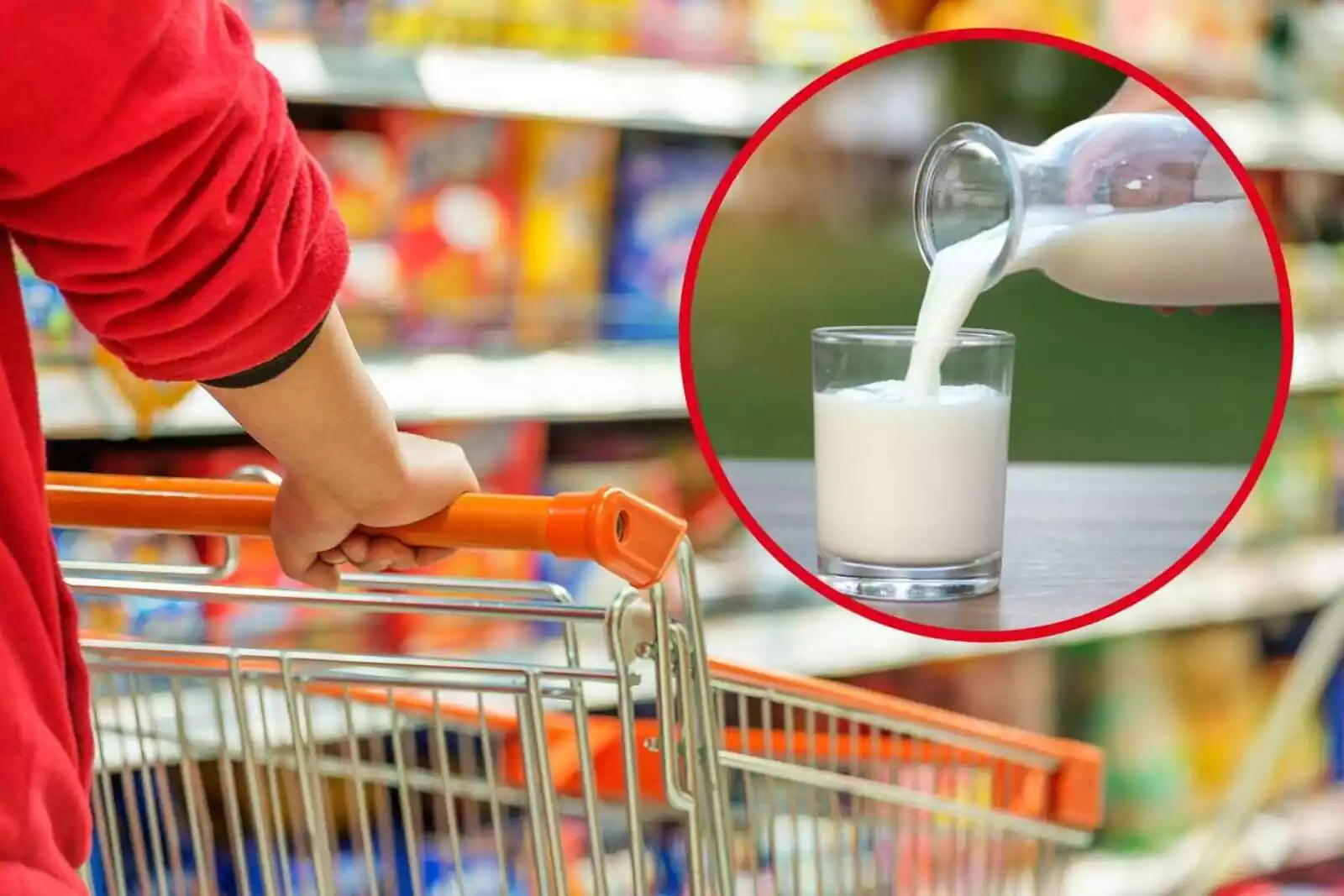 Mercadona tiene la mejor leche 'semi' para la OCU y está entre las más  baratas