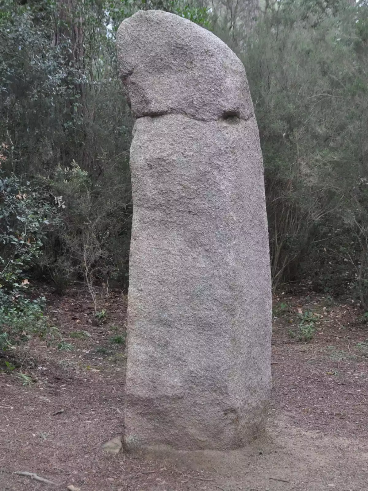 Menhir fálico de La Murtra (Romanyá de la Selva-Gerona) lugar habitual de rituales, algunos de ellos dedicados a la fecundidad Menhir fálico de La Murtra (Romanyá de la Selva-Gerona) lugar habitual de rituales, algunos de ellos dedicados a la fecundidad