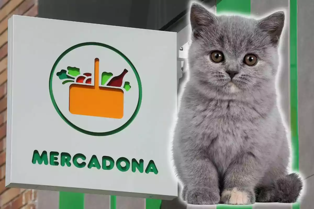 Un letrero de Mercadona junto a un gato gris.