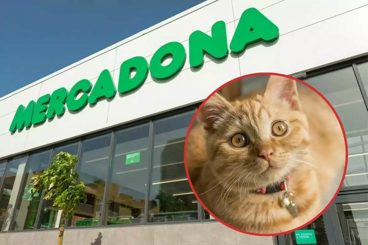 Fachada de una tienda Mercadona con la imagen de un gato en un círculo rojo superpuesta.