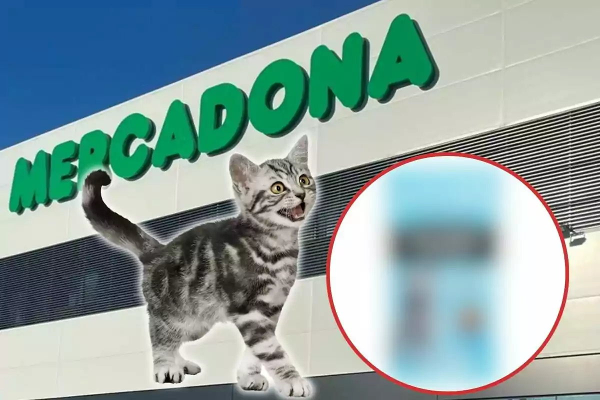 Un gato frente a un supermercado Mercadona con un círculo borroso en la esquina inferior derecha.