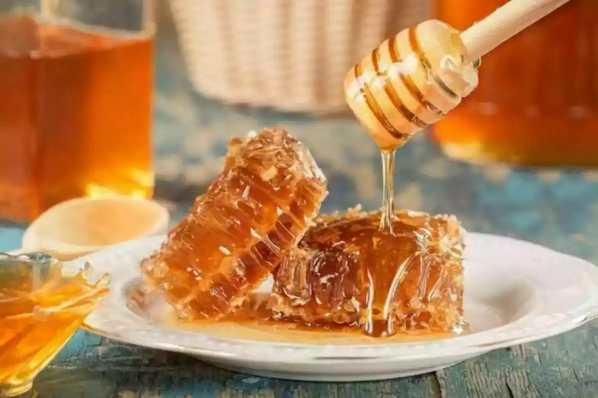 Panales de miel en un plato con miel líquida siendo vertida desde un cucharón de madera. Panales de miel en un plato con miel líquida siendo vertida desde un cucharón de madera.