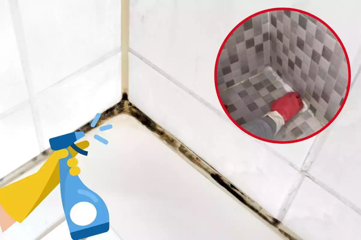 Imagen de fondo de una ducha con moho en la silicona y otra imagen de una persona limpiando juntas, junto a un emoticono de limpieza