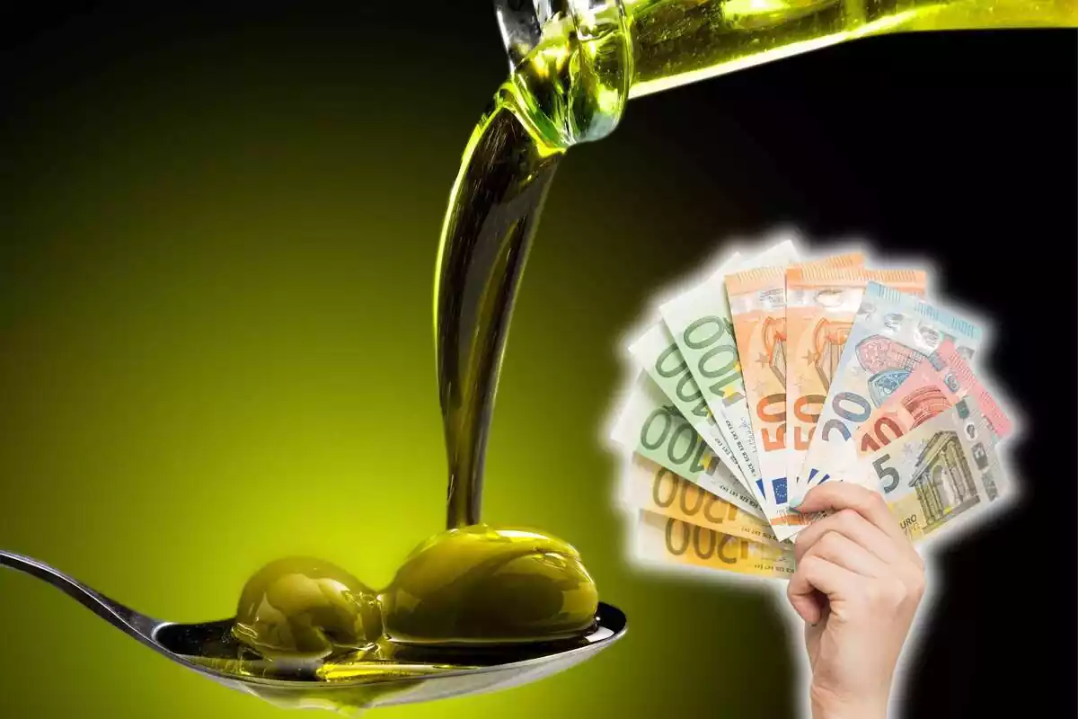 Montaje de aceite de oliva con billetes de euro