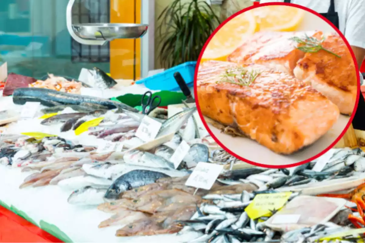 Montaje con el aparador de una pescadería llena de producto fresco y un círculo con un plato con dos trozos de salmón