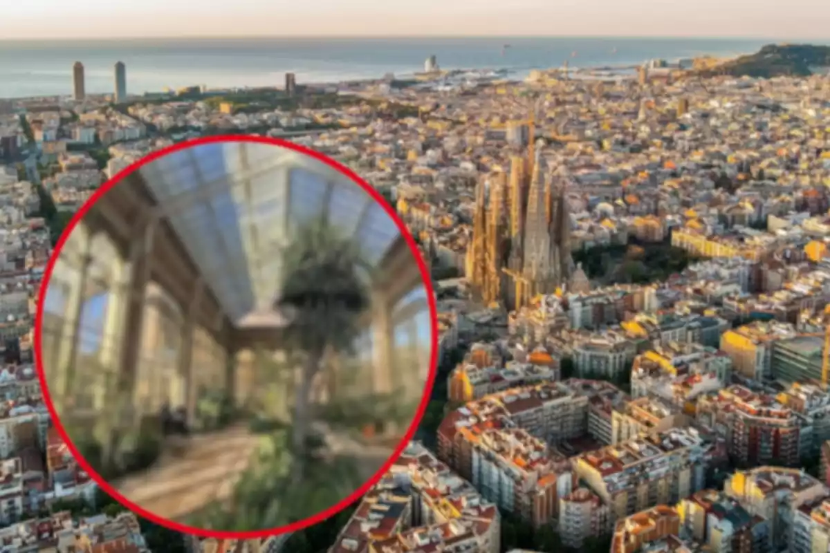 Montaje de Barcelona y el hivernacle de Barcelona difuminado
