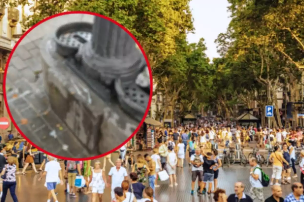 Montaje de Barcelona y una imagen de una fuente con jeringuillas