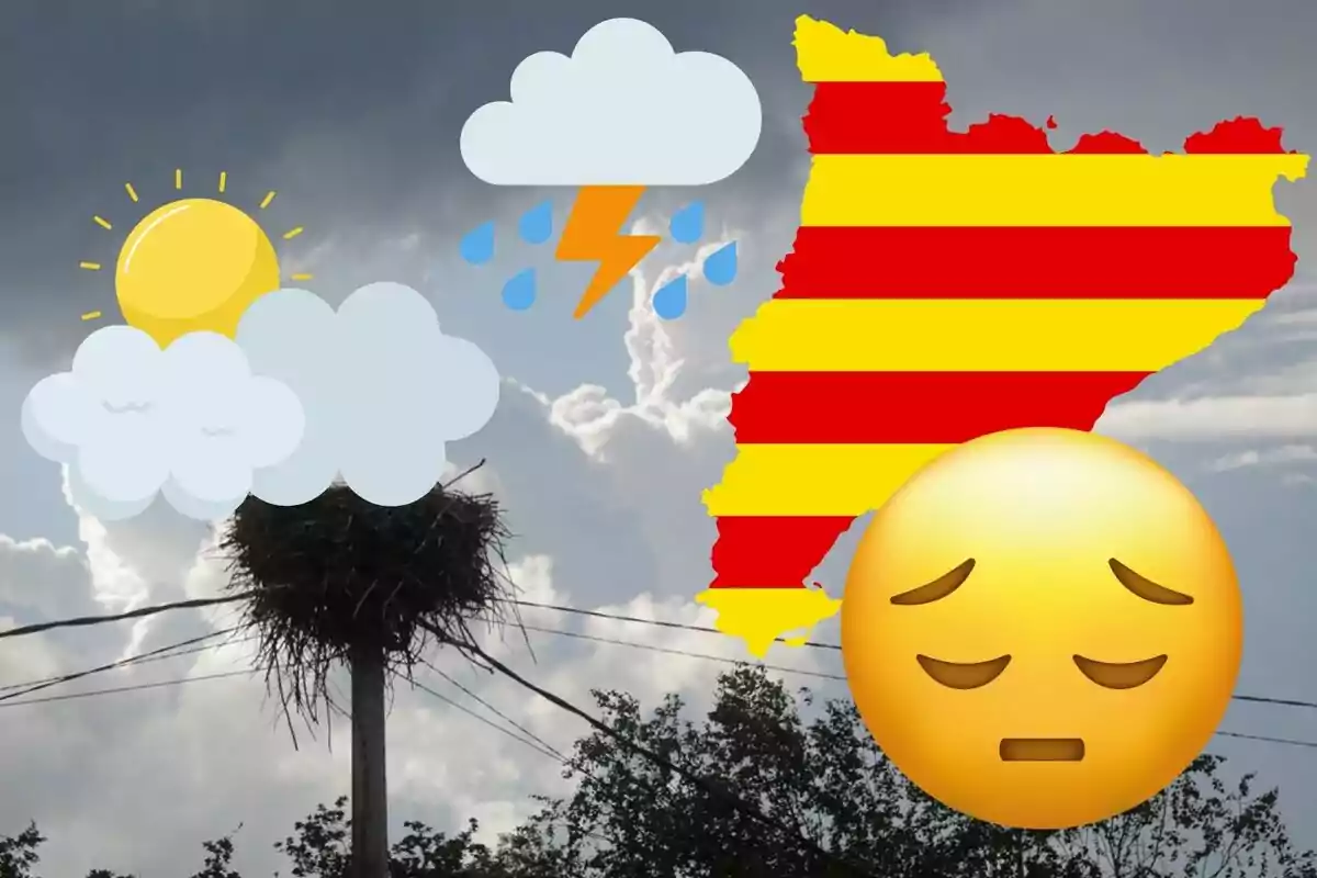 Imagen de un nido de cigüeña en un poste con cables, con iconos de clima soleado, nublado, lluvioso y tormentoso, un mapa de Cataluña y un emoji triste superpuestos.