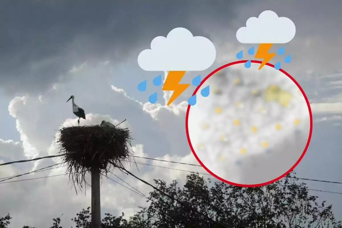 Una cigüeña en su nido sobre un poste de electricidad con un cielo nublado y símbolos de tormenta con lluvia y relámpagos.