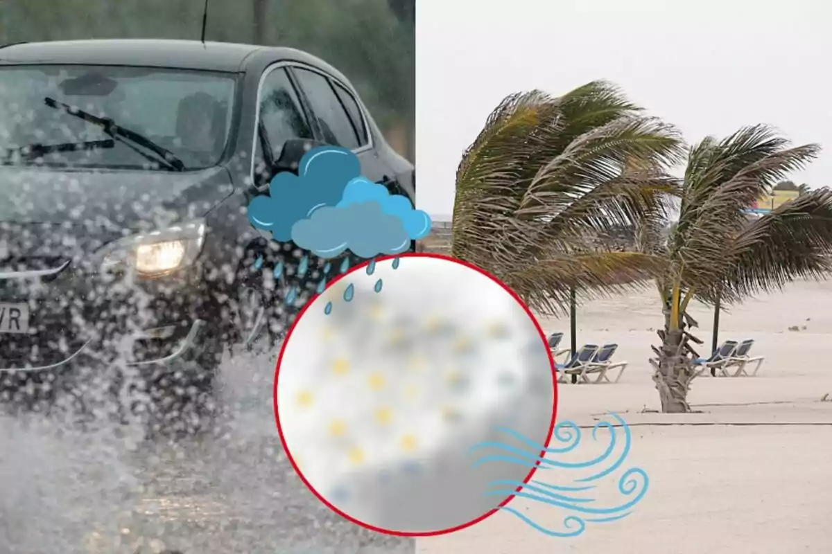 Un coche circula bajo la lluvia mientras en la playa las palmeras se mueven con el viento fuerte.