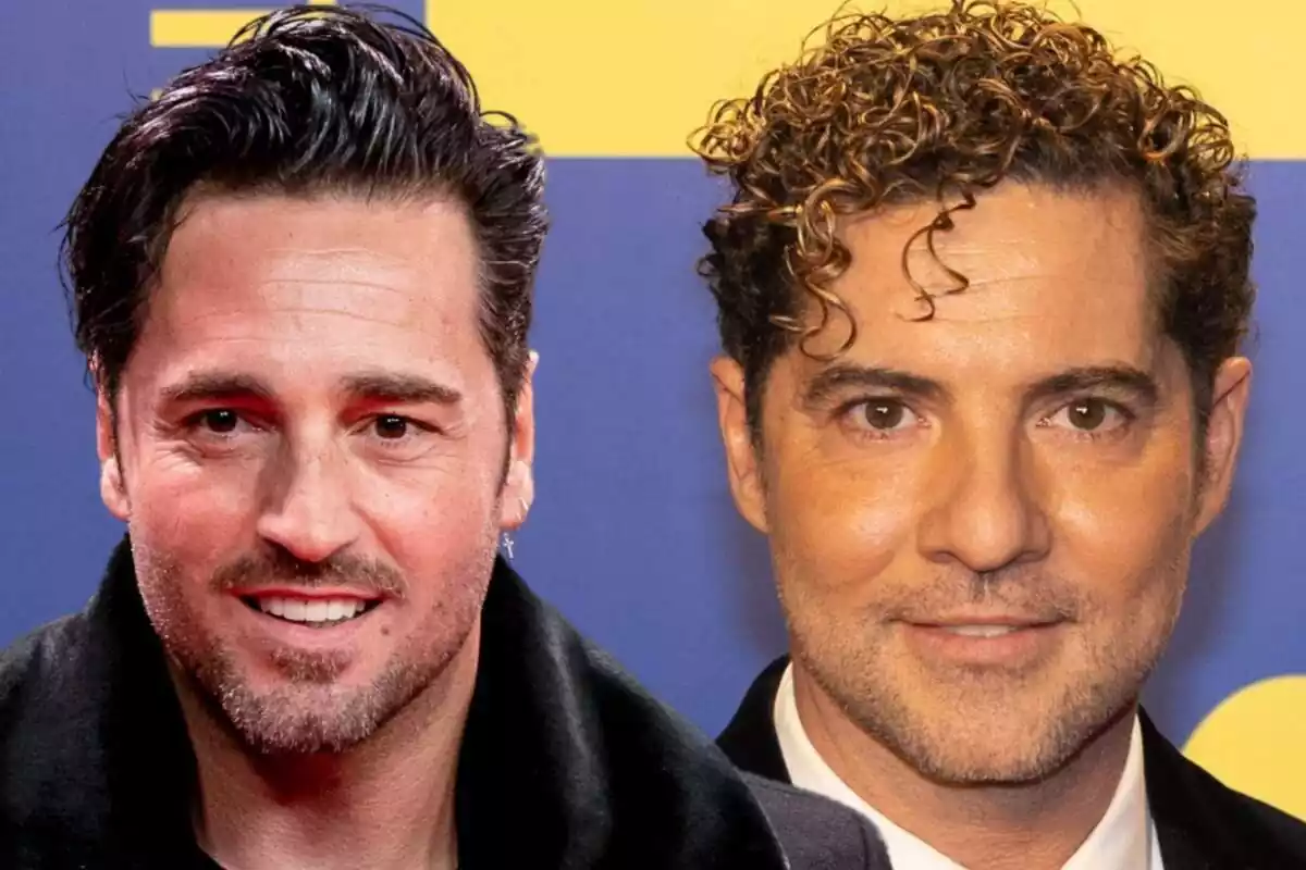 Montaje en primer plano de David Bustamante sonriendo con un abrigo negro y David Bisbal sonriendo con camisa blanca