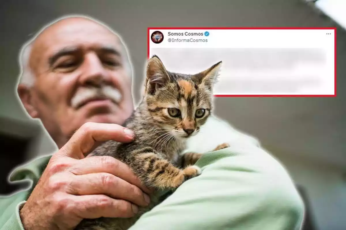 Montaje de fotos de un ancianio acariciando a un gato y, de fondo, la captura de pantalla de un tweet con el contenido borroso