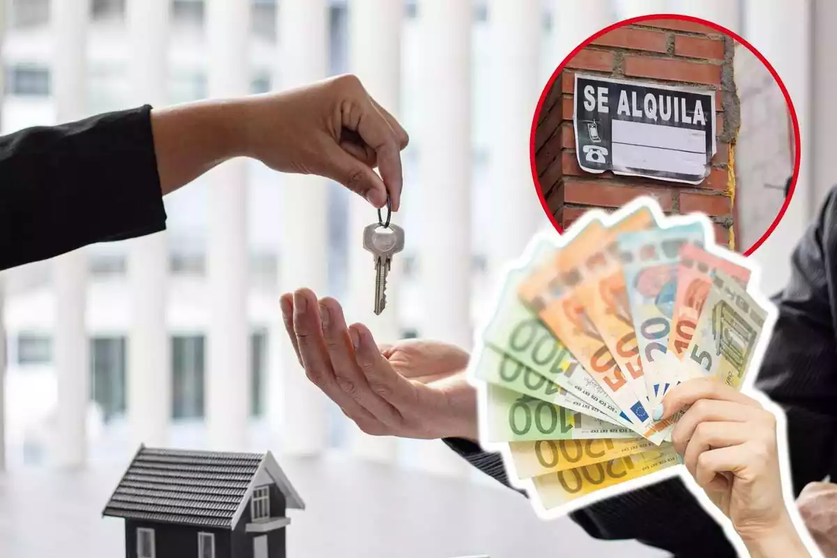 Montaje de fotos de unas manos sujetando unas llaves y, al lado, una imagen de un cartel de 'se alquila' y una mano sujetando billetes de euro