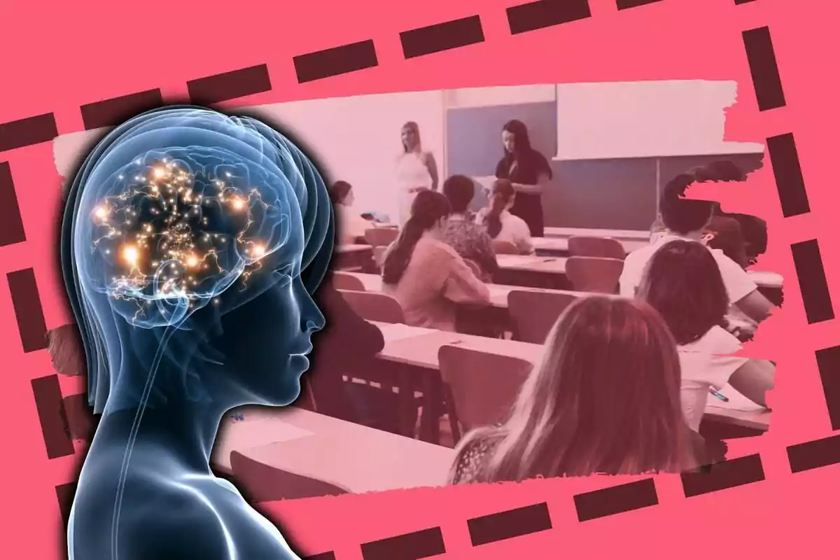 Una ilustración de un cerebro humano iluminado superpuesto sobre una imagen de un aula con estudiantes y profesores, con un fondo rosa y detalles en negro.