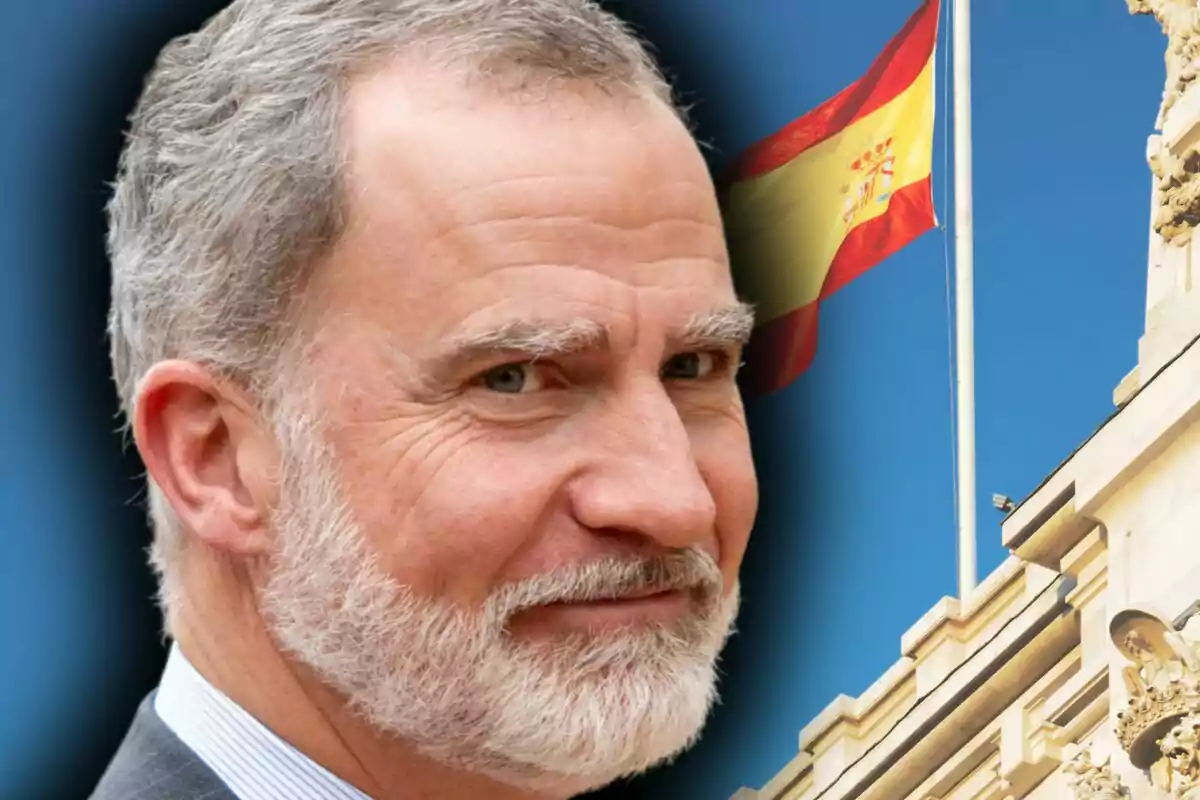 Montaje de fotos de primer plano del rey Felipe de Borbón con rostro sonriente y, de fondo, una imagen de la bandera de España.