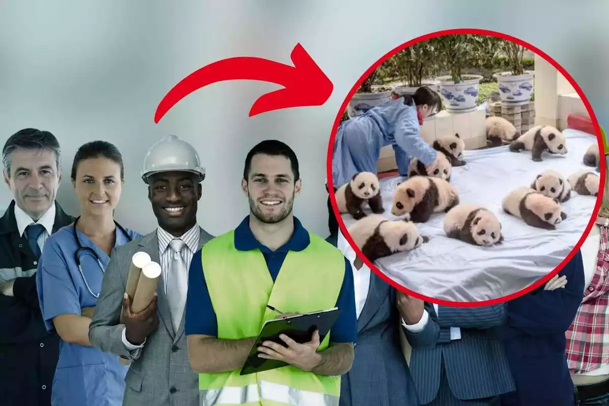 Montaje de fotos de varias personas uniformadas con la ropa de trabajo y, al lado, en el interior de un círculo, una imagen de una chica cuidando osos panda