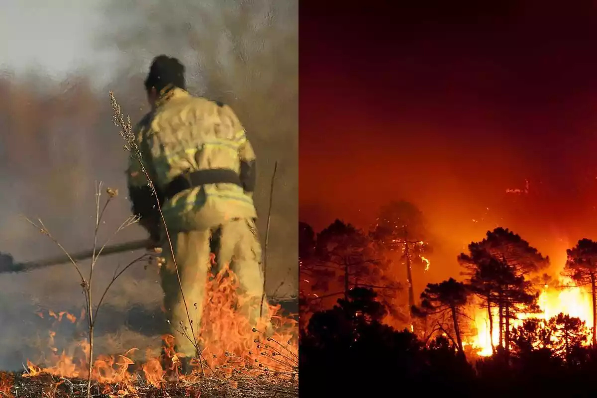 Montaje de fotos de un incendio en un bosque y, al lado, un agente forestal tratando de apagar un fuego Montaje de fotos de un incendio en un bosque y, al lado, un agente forestal tratando de apagar un fuego
