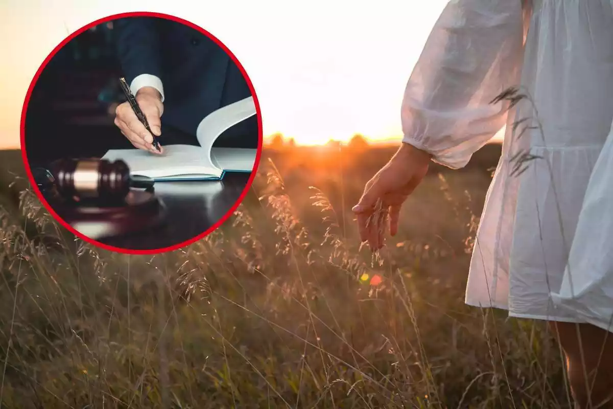 Montaje de fotos de una mano tocando hierbas con una puesta de sol de fondo y, al lado, un juez firmando un documento