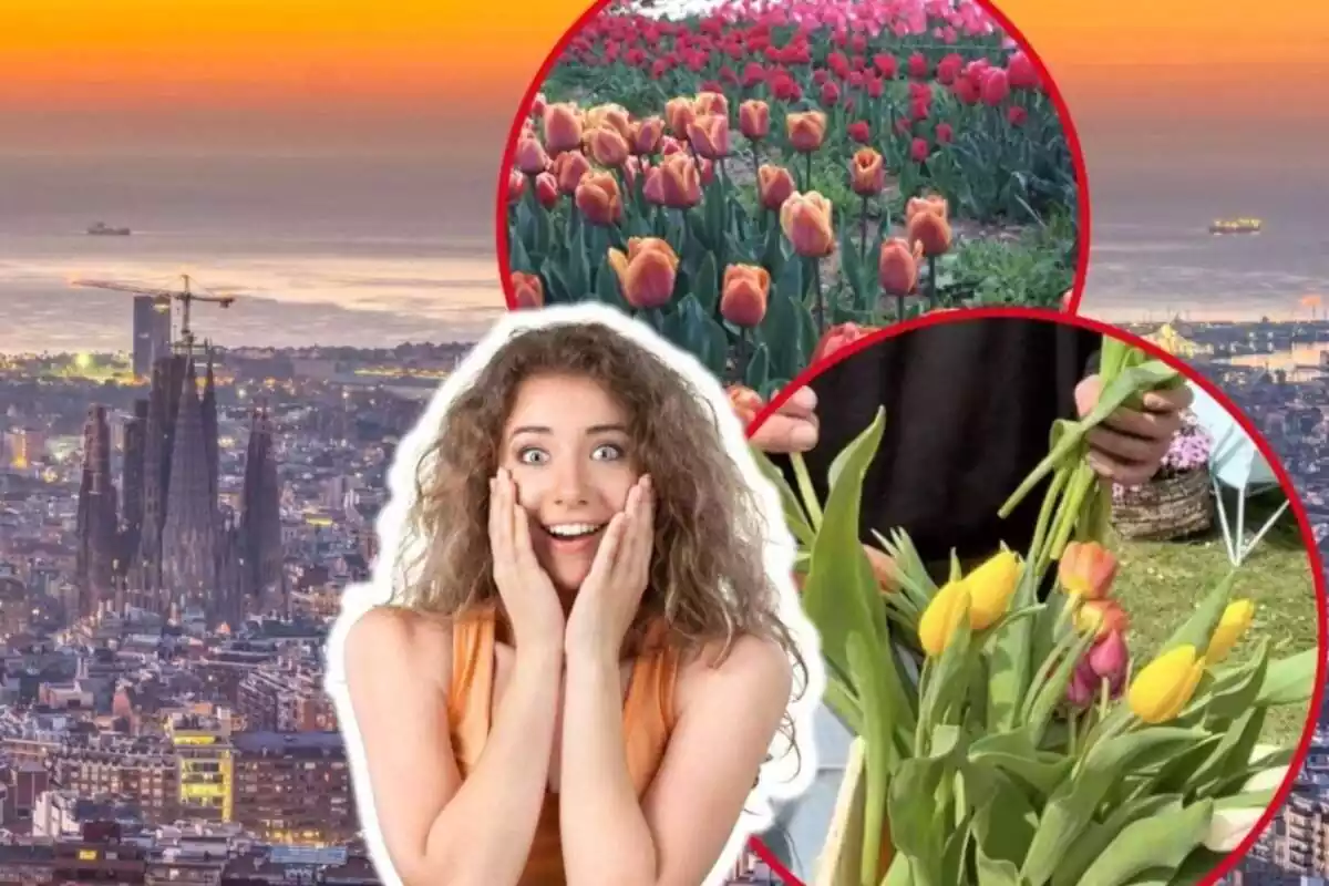 Montaje de fotos de una persona con rostro de asombro y, de fondo, un plano general de Barcelona; al lado, dos imágenes de tulipanes