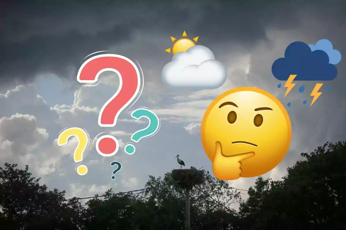 Una cigüeña en su nido bajo un cielo nublado con emojis de clima y un emoji pensativo.