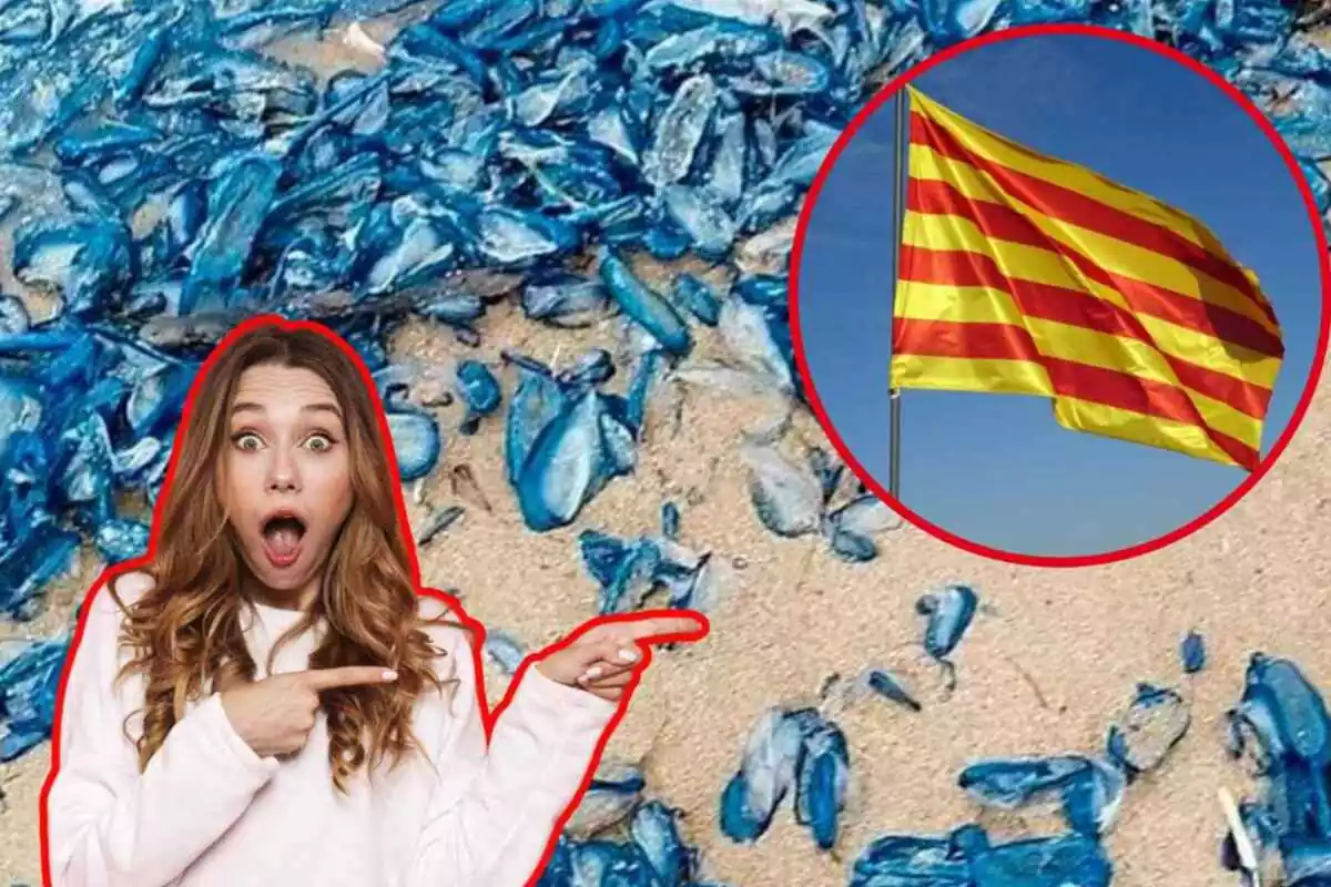 Montaje foto de velellas azules al fondo con una foto pequeña de la bandera de Cataluña y foto de una mujer sorprendida señalando