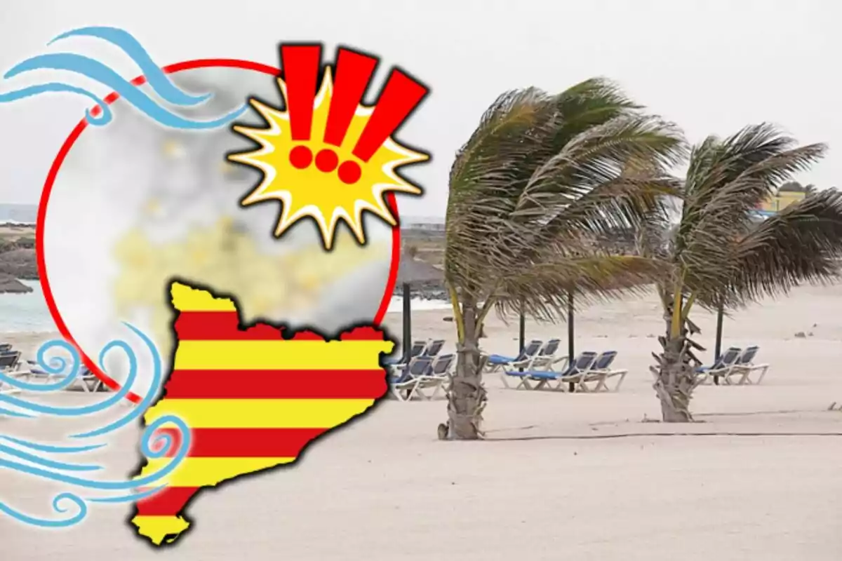 Mapa de Cataluña con franjas rojas y amarillas sobre una playa con palmeras y sillas vacías en un día muy ventoso.