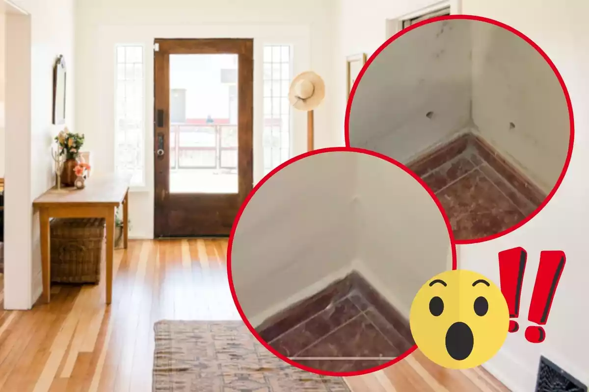 Montaje con el vestíbulo de una casa de fondo, dos círculos con una esquina de una habitación con y sin humedad y un emoji con cara de sorpresa y signos de exclamación