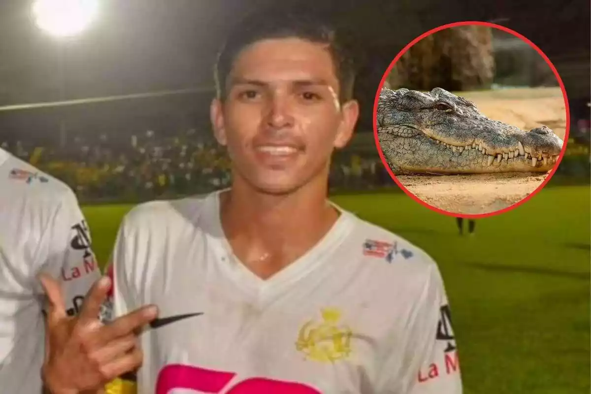 Montaje de Jesús López en un campo de futbol y un cocodrilo
