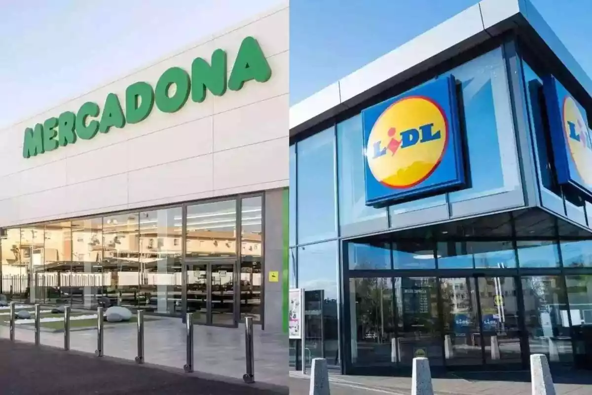 Montaje de una tienda Mercadona y otra Lidl, plano exterior