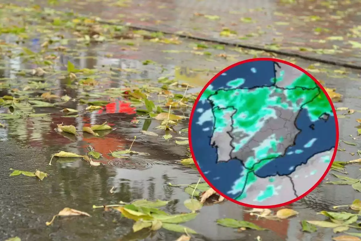 Montaje de un suelo mojado con hojas y un mapa de la AEMET