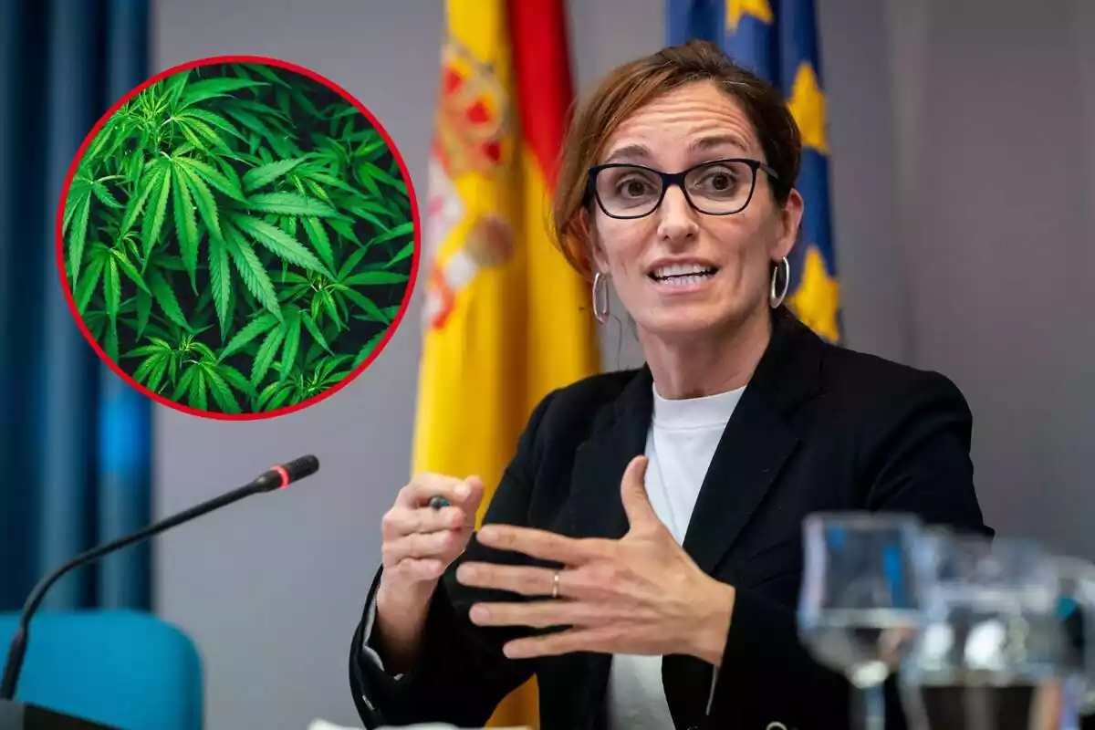 Montaje de Mónica García y unas hojas de cannabis