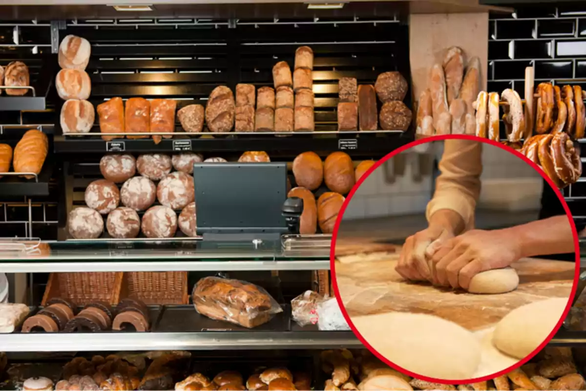 Montaje con un mostrador de una panadería y un círculo con unas manos amasando una masa