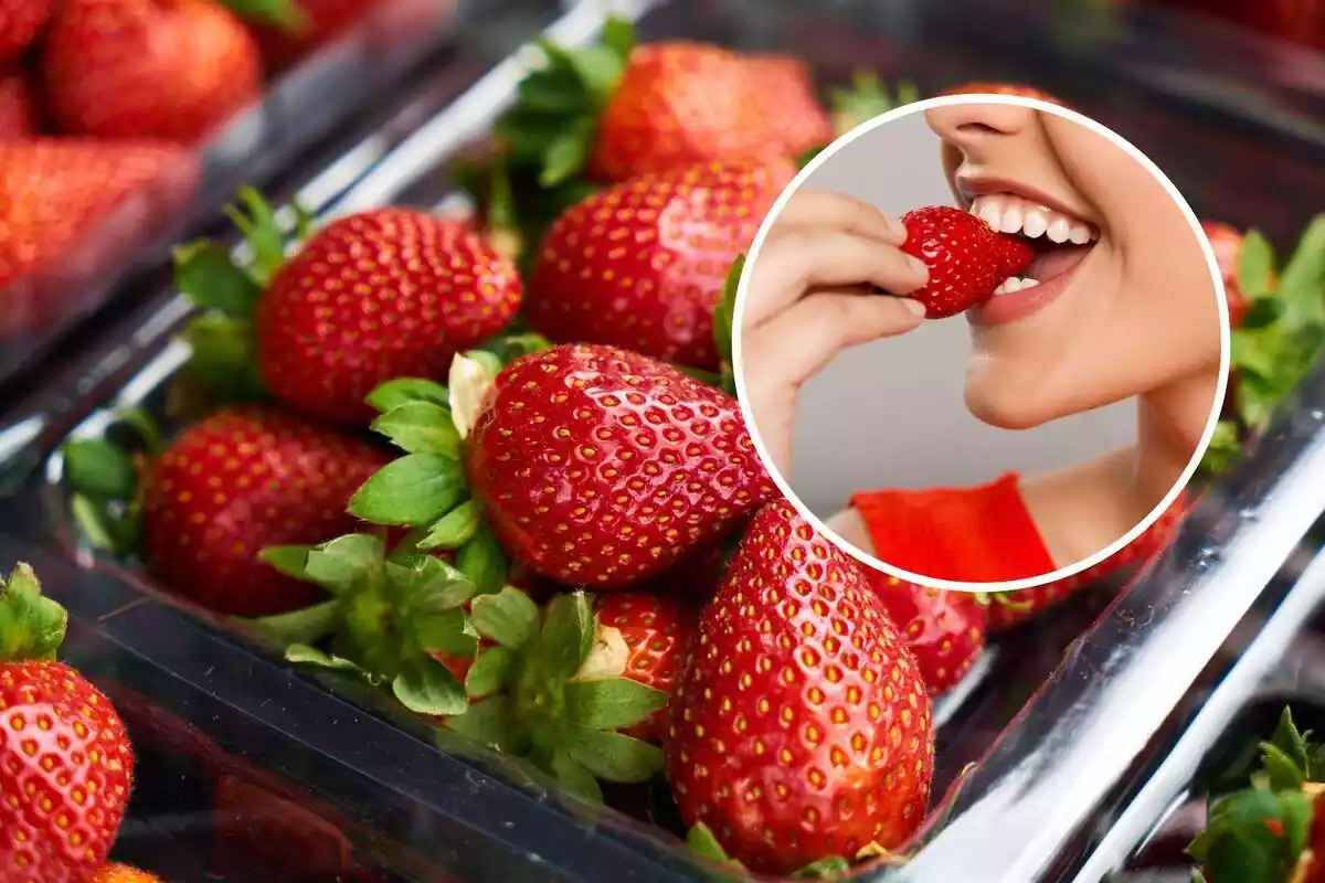 Montaje de una caja de fresas y una redonda con la boca de una chica comiéndose una fresa Montaje de una caja de fresas y una redonda con la boca de una chica comiéndose una fresa